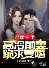 離婚後前妻高攀不起小說