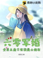 六零軍婚的小說