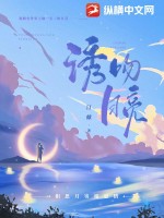 黑夜吻月亮