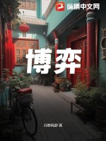 博弈論100集完整版