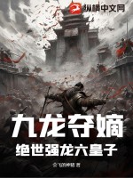 九龍奪嫡6皇子小說