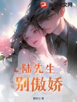 陸先生他很傲嬌小說