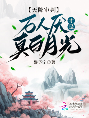 天降審判小說