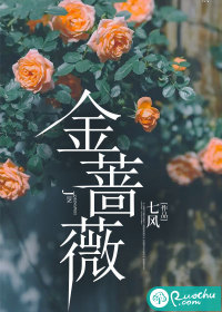 金薔薇線上閱讀